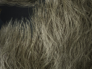 Beard RealTime 2 Version 2 Modèle 3D