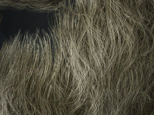 Beard RealTime 2 Version 2 3D Model