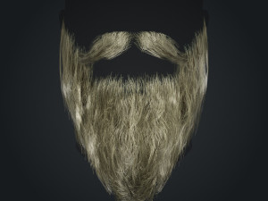 Beard RealTime 2 Version 2 Modèle 3D