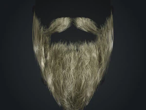 Beard RealTime 2 Version 2 3D Model