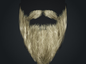Beard RealTime 2 Version 2 Modèle 3D