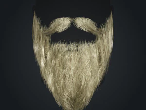 Beard RealTime 2 Version 2 3D Model