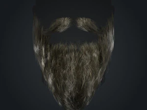 Beard RealTime 2 Version 2 3D Model