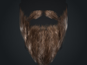 Beard RealTime 2 Version 2 Modèle 3D