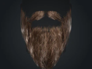 Beard RealTime 2 Version 2 3D Model