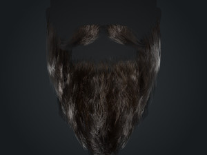 Beard RealTime 2 Version 2 Modèle 3D