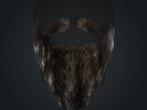 Beard RealTime 2 Version 2 3D Model