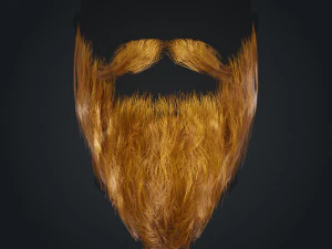 Beard RealTime 2 Version 2 3D Model
