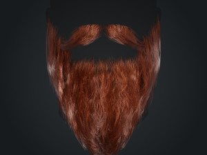 Beard RealTime 2 Version 2 Modèle 3D