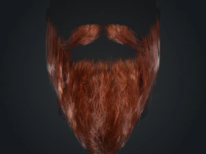 Beard RealTime 2 Version 2 3D Model