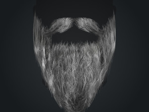Beard RealTime 2 Version 2 Modèle 3D