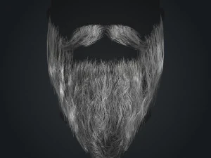 Beard RealTime 2 Version 2 3D Model
