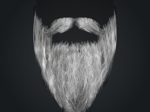 Beard RealTime 2 Version 2 Modèle 3D