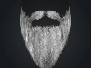 Beard RealTime 2 Version 2 3D Model