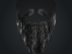 Beard RealTime 2 Version 2 Modèle 3D