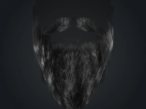 Beard RealTime 2 Version 2 3D Model