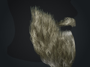 Beard RealTime 2 Version 2 Modèle 3D