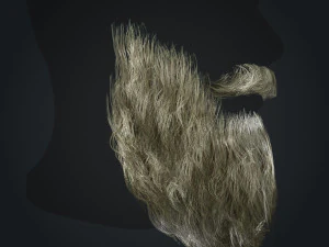 Beard RealTime 2 Version 2 3D Model