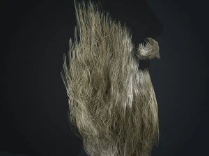 Beard RealTime 2 Version 2 3D Model
