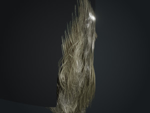 Beard RealTime 2 Version 2 Modèle 3D