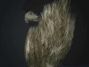 Beard RealTime 2 Version 2 3D Model