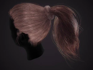 Hairstyle Ponytail RealTime 3D Model