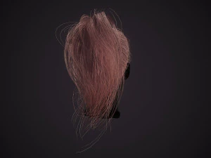 Hairstyle Ponytail RealTime 3D Model