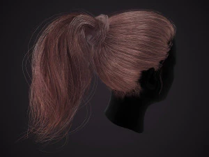 Hairstyle Ponytail RealTime 3D Model