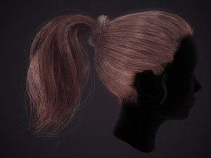 Hairstyle Ponytail RealTime Modello 3D