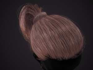 Hairstyle Ponytail RealTime Modello 3D