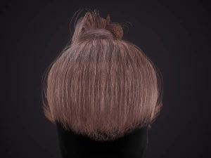 Hairstyle Ponytail RealTime 3D Model