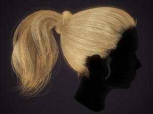 Hairstyle Ponytail RealTime Modello 3D