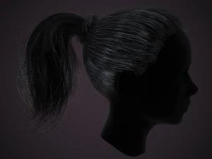 Hairstyle Ponytail RealTime 3D Model