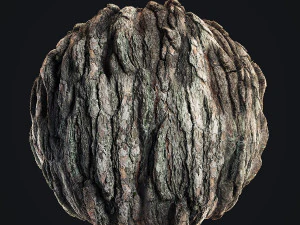 Casca de pinheiro 4K Texturas CG