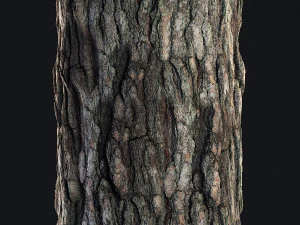 Pine Bark 4K CG Textures