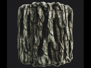 Pine Bark 4K CG 纹理