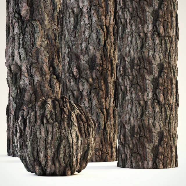 4k Pine Bark Material 03 | Texture