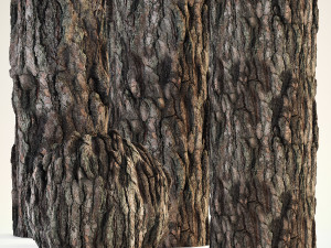 Pine Bark 4K CG 纹理