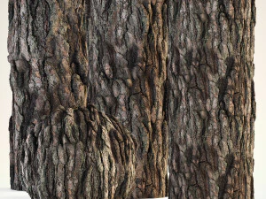 Pine Bark 4K CG Textures