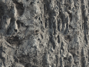 Sand 4K Texturas CG