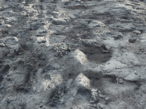 Sand 4K Texturas CG