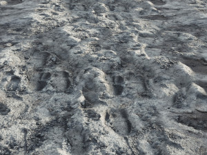 Sand 4K Texturas CG