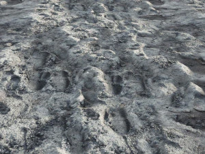Sand 4K CG Textures