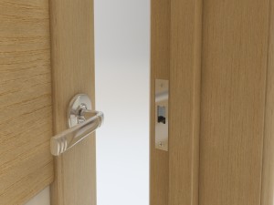 laguna modern interior door 3D Model