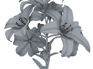 lily tiger pink 3D Model