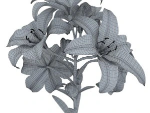 lily tiger pink 3D Model