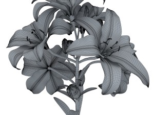 lily tiger pink 3D Model