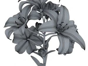 lily tiger pink 3D Model