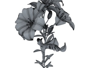 lily tiger pink 3D Model