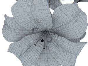 lily tiger pink 3D Model